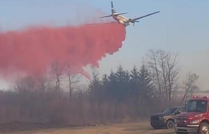Forest fire at the nation shouts James Smith destroyed three houses