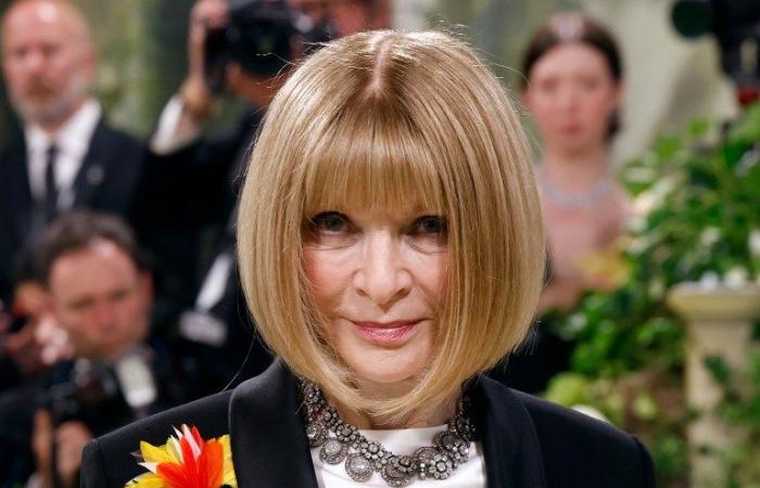 Naomi Campbell sensationally BANNED from Met Gala amid feud with Vogue’s Anna Wintour