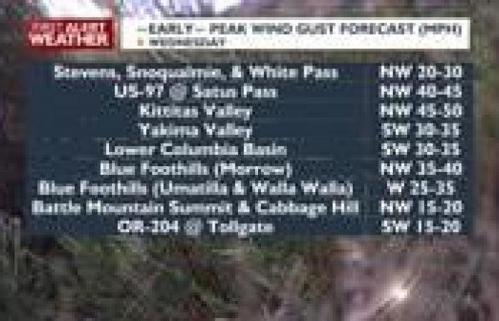 Sunny, seasonal, & breezy for Cinco de Mayo | News