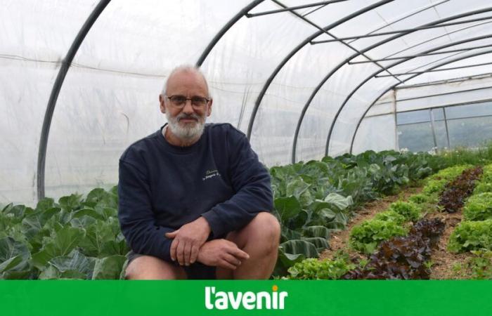 What future for the vegetable gardens of yesteryear, in Theux, prohibited from activity since Monday, May 5, 2025? “The number of offenses was important!” (photos)