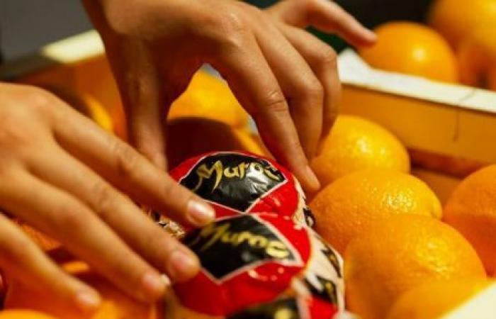 Morocco is trying to reposition itself on the international oranges market