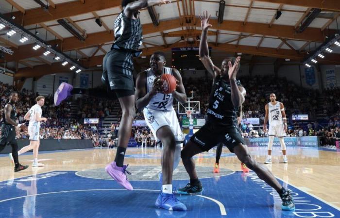 Ngoy will strengthen the Poitiers Basket racket