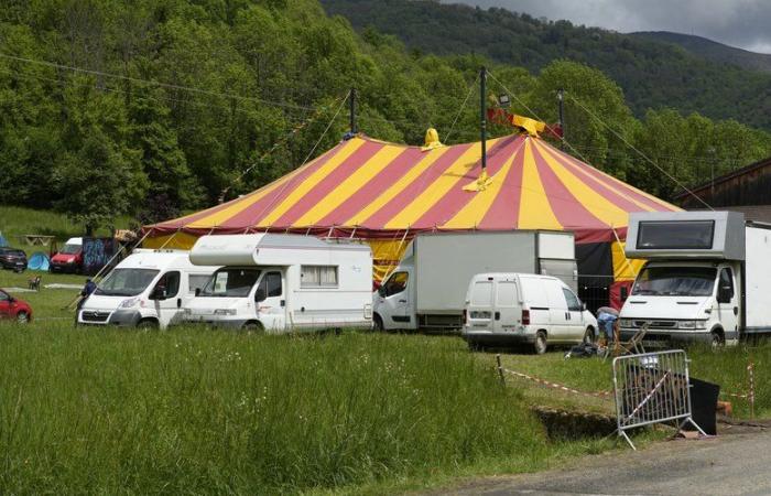 Cadver discovered during a festival in Ariège: “We finished the evening by saying that everything had gone well” … The organizers in shock