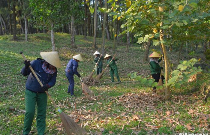Nam Dan strengthens the prevention of forest fires on historic sites