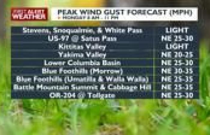Sunny, seasonal, & breezy for Cinco de Mayo | News