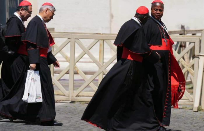 The 133 cardinals who participate in the conclave arrived in Rome