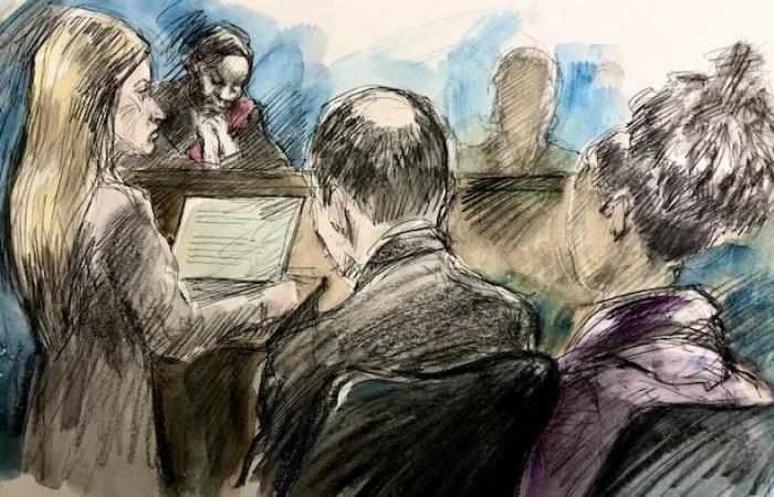 Death of a Toronto homeless: the last minor pleads guilty to the opening of her trial