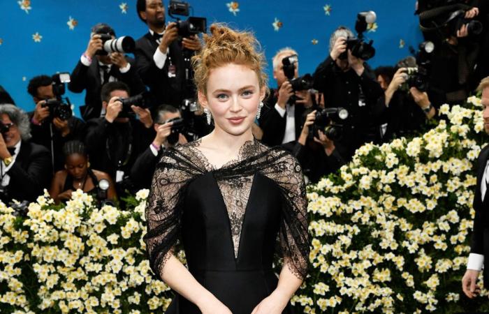 Met Gala 2025: The best looks from the red carpet