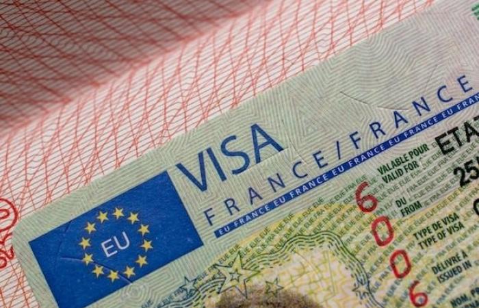 France has garnered FCFA 160 billion in 10 years, mainly on Africans