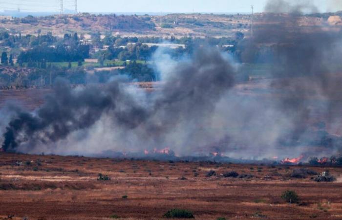 Gaza: Civil Defense announces 19 dead in several Israeli strikes