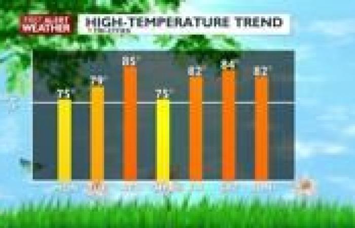 Sunny, seasonal, & breezy for Cinco de Mayo | News