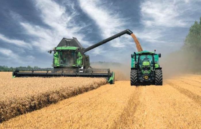 Favorable winds for short -term Moroccan wheat