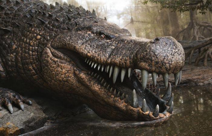 This “crocodile of terror” was the nightmare of the dinosaurs