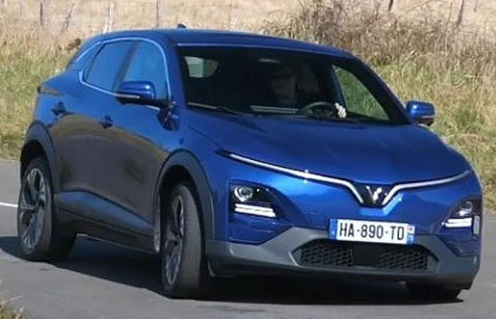 Already the end for the automaker Vinfast in Europe?