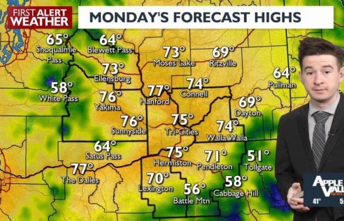 Sunny, seasonal, & breezy for Cinco de Mayo | News