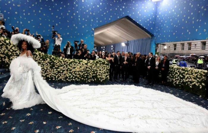 Diana Ross, 81, Shuts Down Met Gala Carpet in Massive 18-Foot Shawl