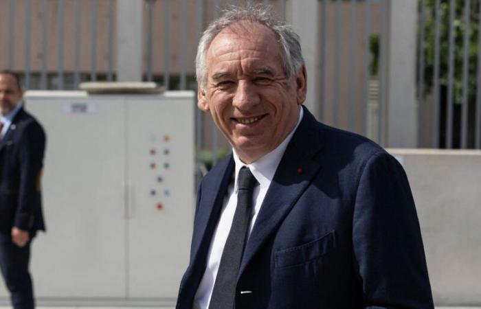 What ideas does the Prime Minister want to submit to the French vote?