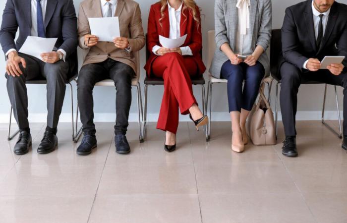 The unemployment rate increased to 13.3% between T1-2024 and T1-2025
