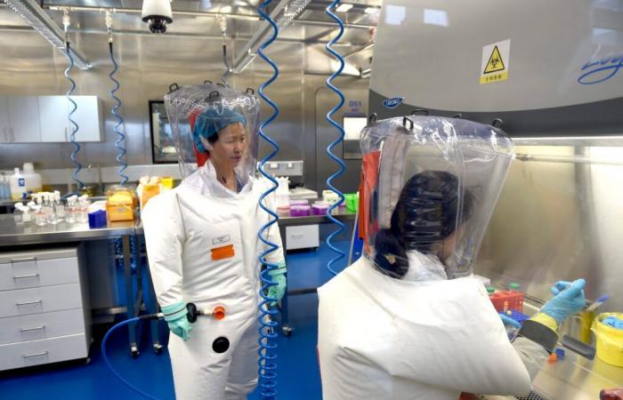 The thesis of the laboratory accident in China is gaining ground among scientists
