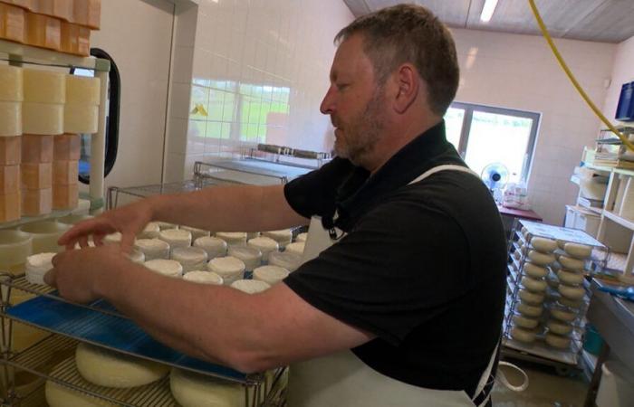 Have you noticed an increase in the price of certain cheeses in your store? Here is why