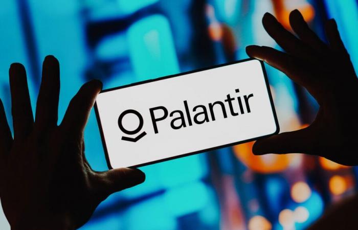 Palantir: turnover grows more than expected – stock falls