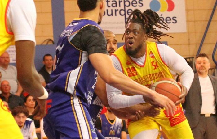 Basketball (Tarbes-Lourdes): “I have to be impeccable,” says Mike Joseph before the reception of Mulhouse