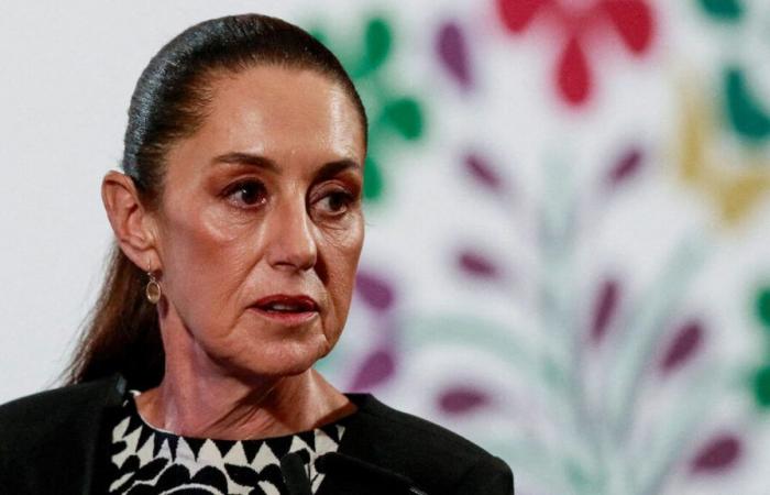 “No, President Trump, our territory is inviolable”: the Mexican state chef rejects the offer of her counterpart