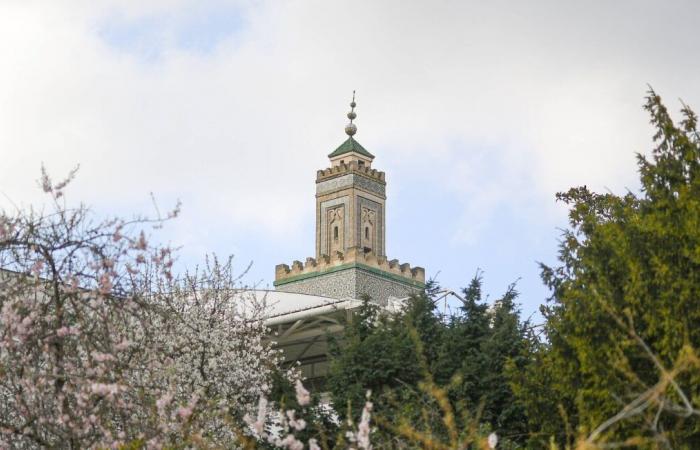 Last tribute to the Paris Mosque, aborted meeting with Retailleau