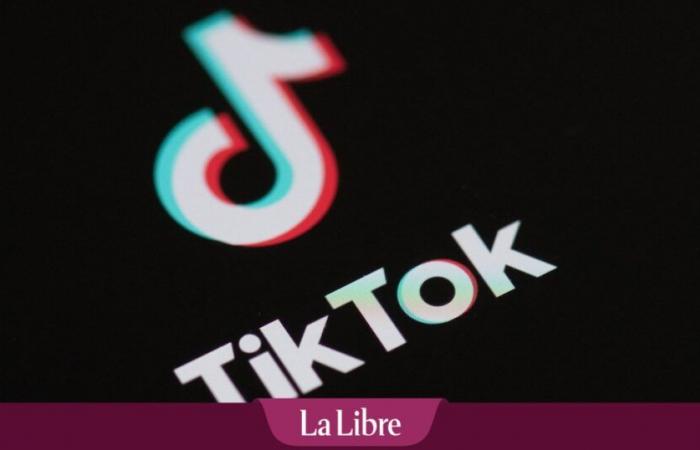“It’s evil”: in Ghent, a Tiktok challenge degenerates and causes important damage