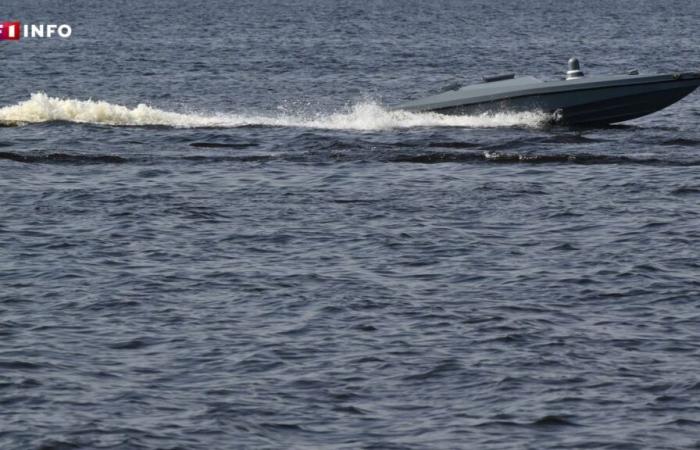 Ukraine: the Magura V7, this naval drone which would have shot a Russian fighter plane for the first time