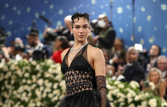 Met Gala 2025: The best looks from the red carpet