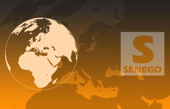 Senegal supports thirteen press companies