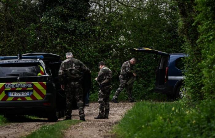 The body of the jogger found in an undergrowth by a walker