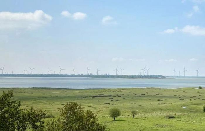 Artificial Islands in Markiezaatsmeer have to put on birds again