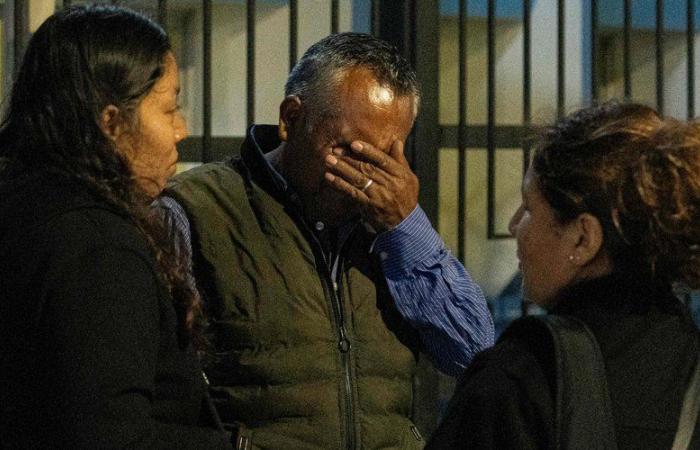 Peru: 13 kidnapped people found dead in a mine, the privileged illegal gold trafficking track