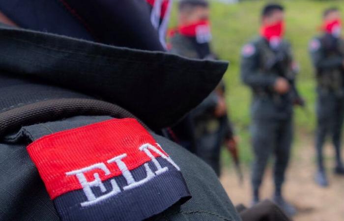Four people killed in a “peace area” for guerrillas