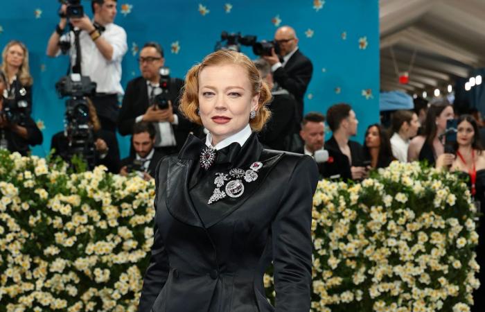 Met Gala 2025: The best looks from the red carpet