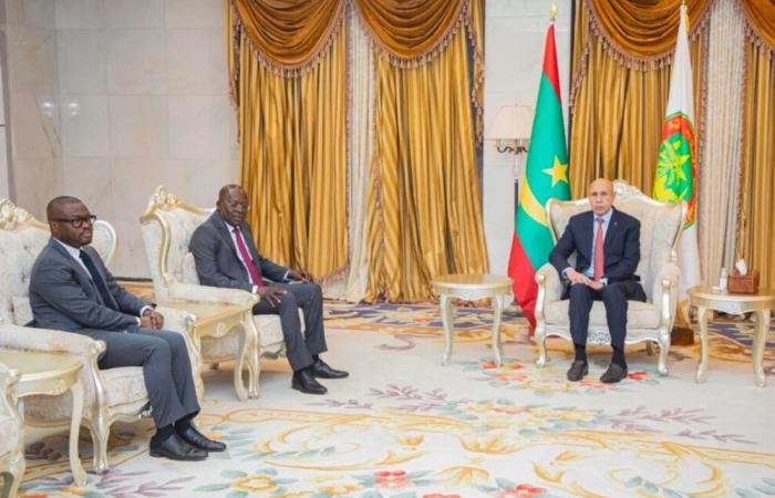 Benin announces its official support for the candidacy of the Mauritanian Dr Sidi Ould Tah to the President of the Bad