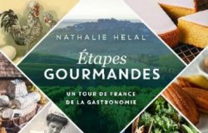 Selection of beautiful special gastronomy books: 3 books to taste any ceasing affairs!