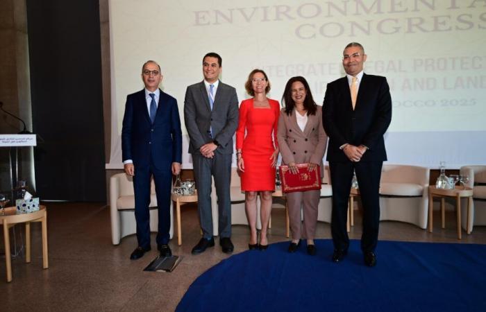The Ministry of Justice contributes to the international debate on environmental protection