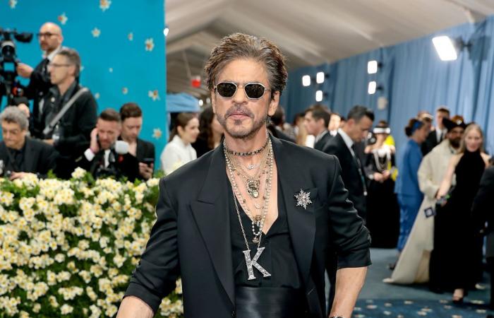 Met Gala 2025: The best looks from the red carpet