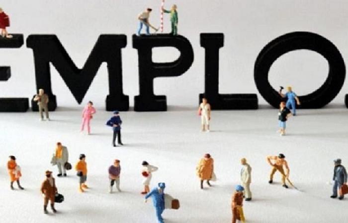 Morocco: 282,000 jobs created between T1-2024 and T1-2025