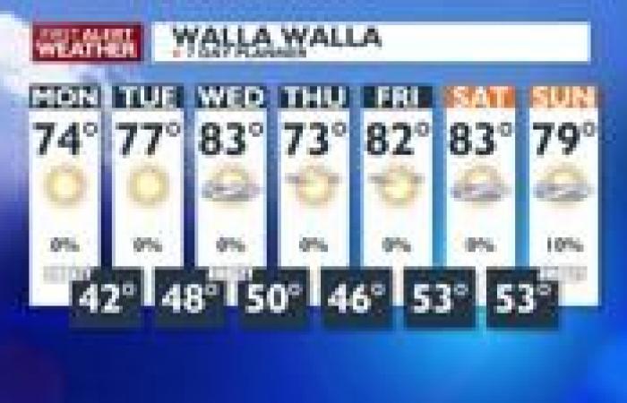 Sunny, seasonal, & breezy for Cinco de Mayo | News