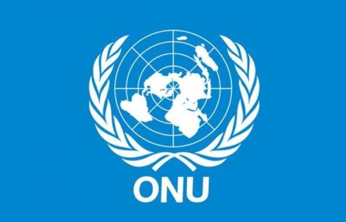 Nigeria: The UN has an urgent need of $ 160 million for …