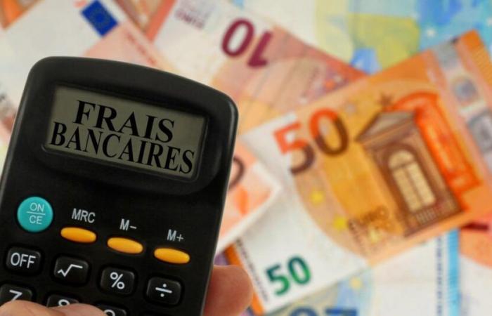 Bank costs of succession now supervised in France