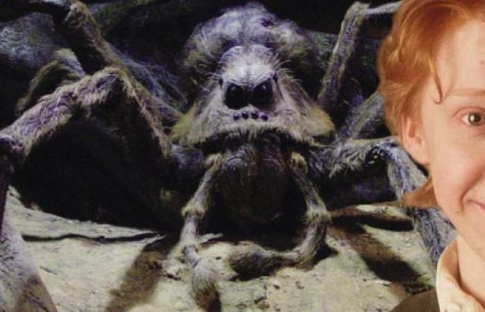 3 things about Ron Weasley that only readers know