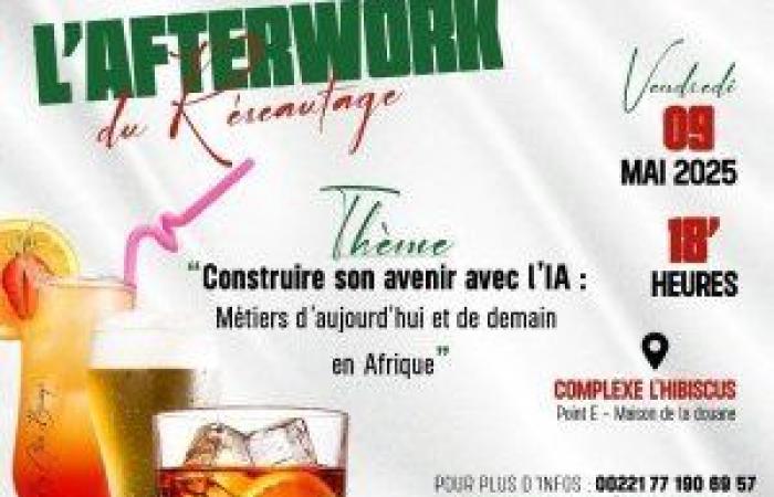 The networking of networking – in Senegal, the heart of Senegal