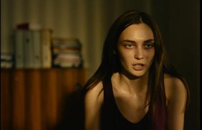 [CINÉMA] Oxana, a hagiographic portrait of the founder of Femen …