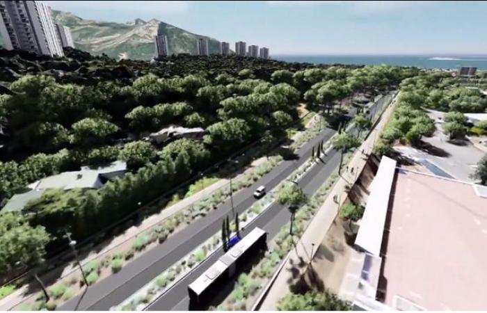 Mobility of tomorrow: the “responsible path” according to Hervé Menchon (environmentalists)