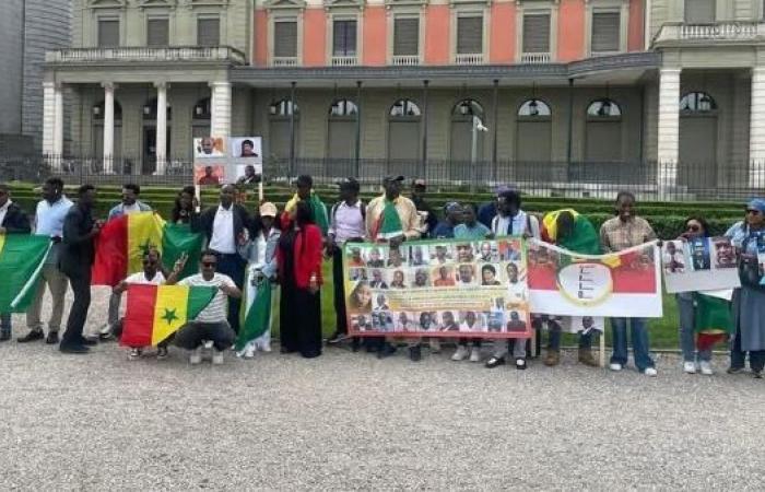 APR and PDS activists demonstrate in Geneva against the new regime
